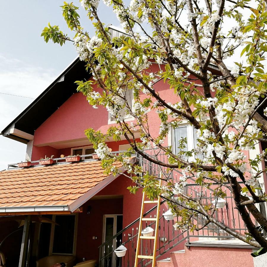 Apartments "Predah Kod Baraca" Nis Exterior photo